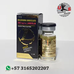 La Tienda Principal De La Imagen