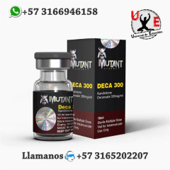 La Tienda Principal De La Imagen