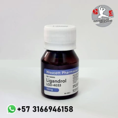 La Tienda Principal De La Imagen