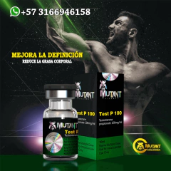 La Tienda Principal De La Imagen