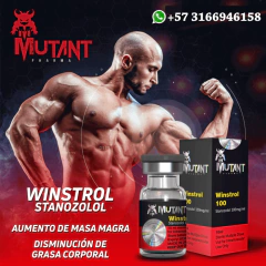 La Tienda Principal De La Imagen